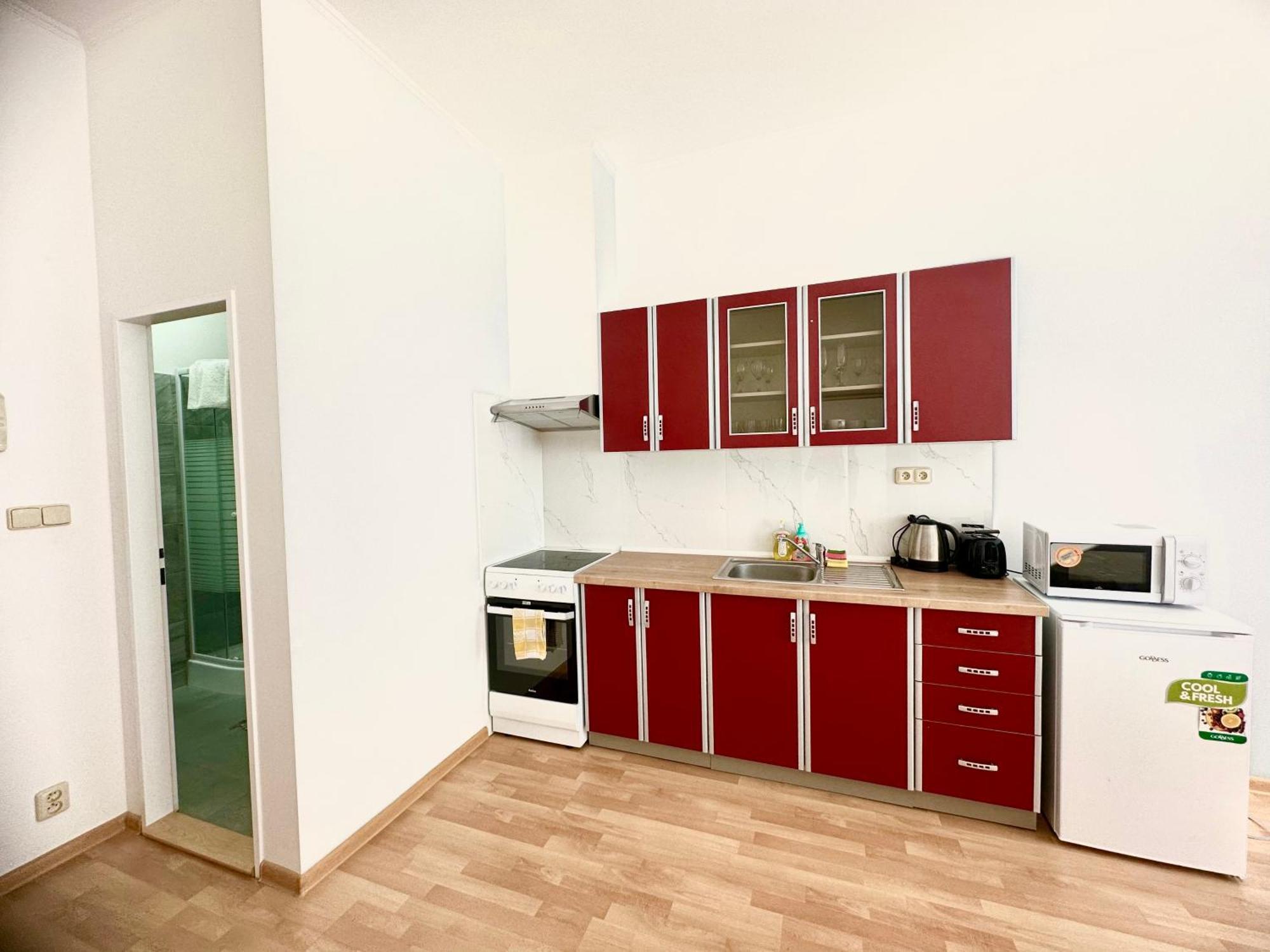 Apartment Erika Карлові Вари Номер фото